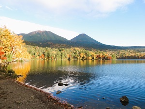 オンネト－は秋の素晴らしい紅葉の時期を迎えました