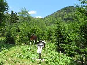 南クマネシリ岳の入林届ポスト