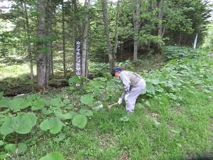 案内標識周辺を草刈りする様子