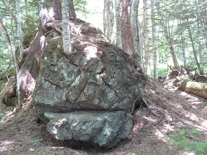 鬼の顔のようにみえる大きな岩