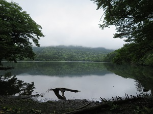 波もなく静かなオンネトーの湖面