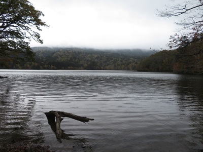 雲が低く垂れこめたオンネトーの様子