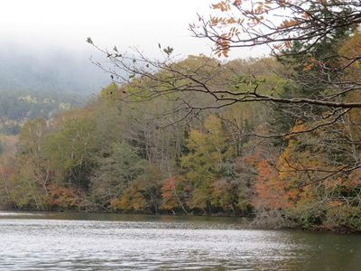オンネトーから見える紅葉の様子