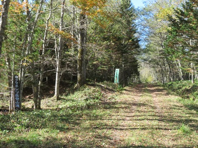 南クマネシリ岳への林道の様子