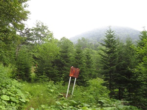 登山道沿いの標識
