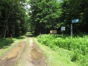 登山道入り口の標識