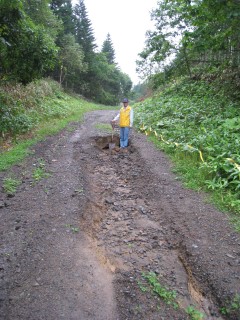 下茶安別林道起点から約200mの地点です。