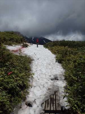 第1花畑の歩道はまだ雪の下