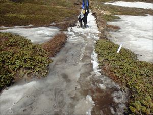 歩道に沿って雪が残り足場が悪いため注意が必要