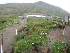 黒岳石室近くの中庭の植生保護のため、ロープを設置しました。