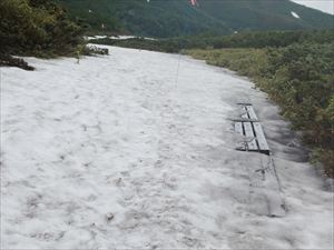 第一雪渓入口の木道