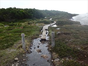 第一雪渓付近は、木道が全て出ていました。