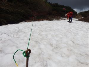 北鎮分岐手前の雪渓のポールマーキング