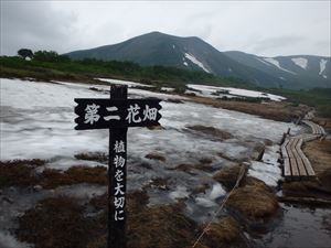 第二花畑の看板設置を行いました。