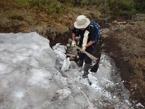 雪渓割の作業