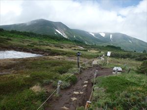 第一・第二花畑の歩道はほとんど出ました。