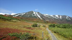 雪が溶けた登山道