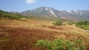 第一花畑から緑岳山頂方面