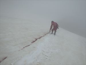 北鎮岳の雪渓には、ベンガラでマーキングました。