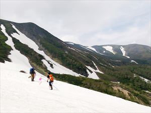 緑岳の第一・第二花畑の夏道はまだほとんど出ていません。