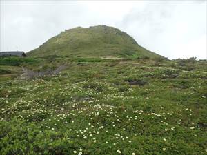 黒岳山頂（南側より）