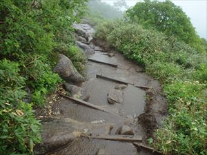 今日は雨降りの日、黒岳9合目付近で歩道が水浸しになっていました。