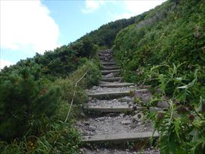 黒岳山頂直下歩道