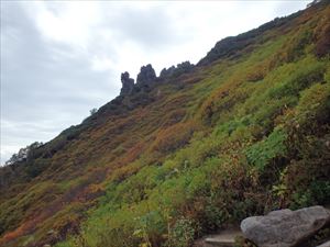 マネキ岩の紅葉