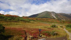 第一花畑、紅葉が見頃でした。