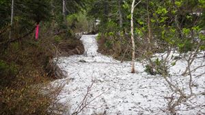 昨年よりも残雪が多いです。滑り・転倒に注意して下さい。