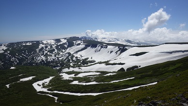 上中6.18④山頂付近から、高根ヶ原