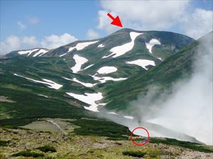 右下に黒岳石室の野営指定地（写真赤丸）が見えます。