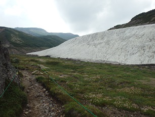北海沢の雪渓