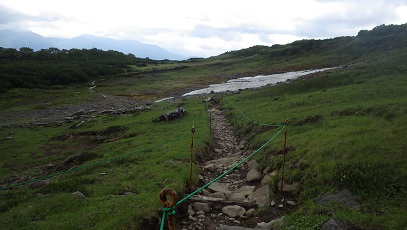 第二花畑（遠景は石狩連峰）