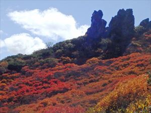 マネキ岩の紅葉はピークを迎え、見応え抜群でした。