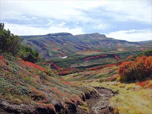 赤石川に続く道、北海岳方面がきれいでした。