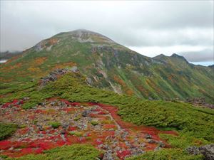 桂月岳から凌雲岳（左）・上川岳（右）