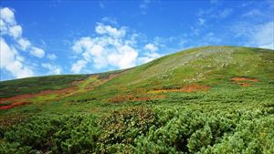 緑岳上部は、紅葉していた葉が落ち、晩秋の趣きでした。 緑岳上部は、紅葉していた葉が落ち、晩秋の趣きでした。