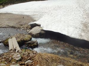 北海沢の雪は解け始めていますが、残雪上の踏み抜きに注意願います。