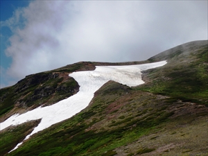 北鎮岳の雪渓