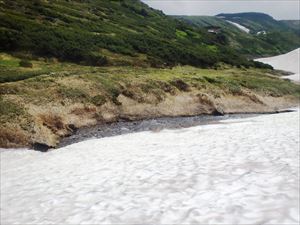 北海沢の融雪が進んでおり