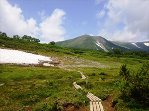 第一花畑、緑岳の眺めを楽しめます。