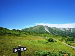 第一花畑からの緑岳