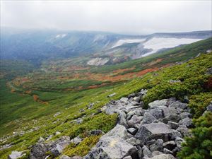 緑岳山頂付近から高根ヶ原方面