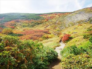 第三雪渓の紅葉