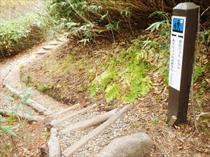 整備された歩道