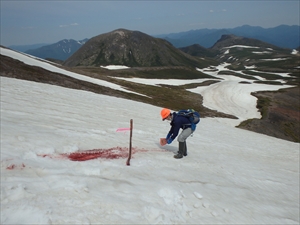 北鎮分岐手前の斜面のマーキング