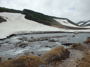赤石川の雪渓