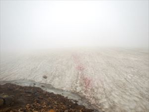 北鎮岳へ向かう途中の雪渓はまだまだ残っているので歩行の際はご注意下さい。