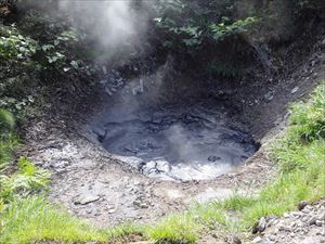 園地内には、ボッケ（泥火山）や少し変わった植物が自生しています。